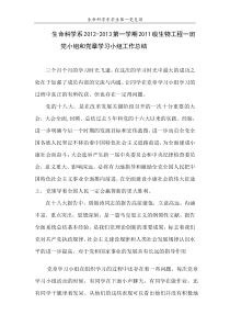2012年党小组工作总结2