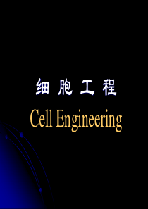 2013-06细胞工程概论st