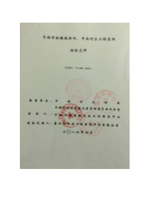 (定稿)新同平南圩区监理招标文件48
