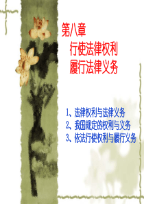 (第八章)2015行使法律权利-履行法律义务
