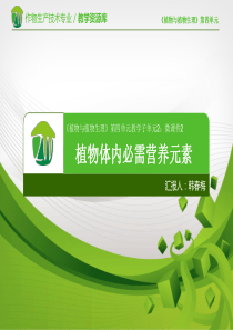 (编号202)植物体内必需营养元素