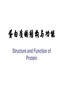 01蛋白质化学2009