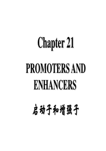 02-博士研究生课生命科学前沿进展启动子和增强子-魏炽炬