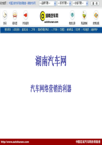 湖南汽车网
