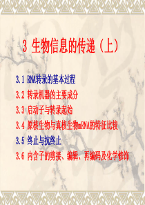 03生物信息的传递(上)