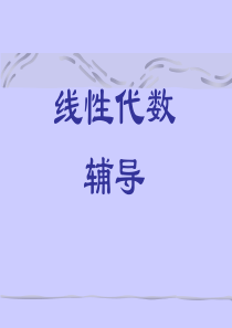 1-行列式