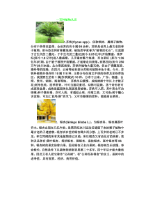 100种植物认识