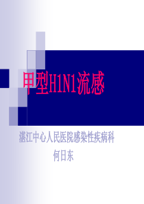 2011年湛江市预防接种人员培训讲义课件甲型H1N1流感