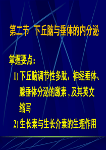 11-2_下丘脑与垂体的内分泌.