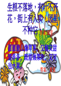 12______蔬菜远航.