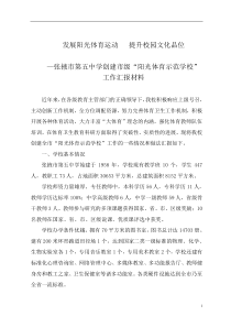 14甘州区金安苑学校创建市级“阳光体育示范学校”工作汇报材料