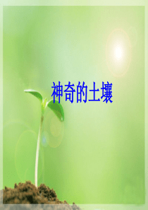 神奇土壤(幼儿园大班多元整合资源包)科学