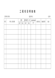 工程项目明细表