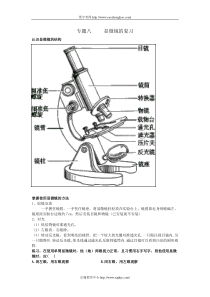 2010年中考生物显微镜专题复习