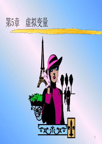 虚拟变量6452836875