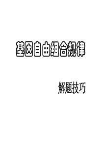 2010年高考生物复习专题4自由组合解题技巧