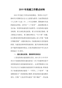 2019年党建工作要点材料