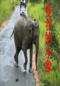 阿玲绕着汽车走了一圈，擦看了陷车的情形，她沉思片刻是在想