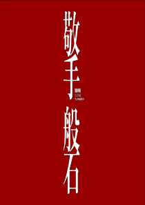 2016年擎磐传播郑州正弘中央公园广告提案32p