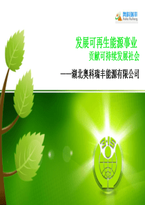 发展可再生能源事业