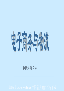 中国远洋公司-电子商务与物流(ppt 83页)