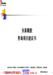 九略-安泰-橡胶咨询项目建议书