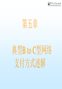 简-第五章典型BTOC型网络支付方式述解