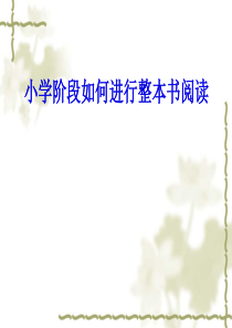 如何进行整本书阅读