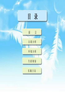 职业生涯规划模板职业规划求职职场实用文档(2)