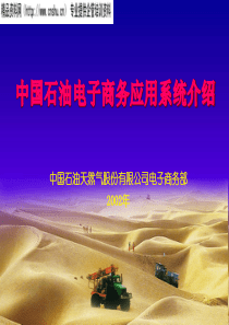 中石油电子商务应用系统介绍