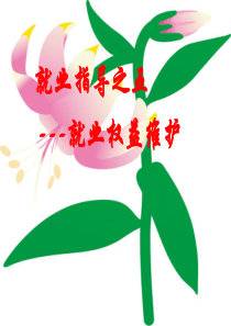 就业指导之就业权益维护