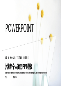 经典创意小清新个人简历PPT模板