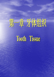 第三章 牙体组织
