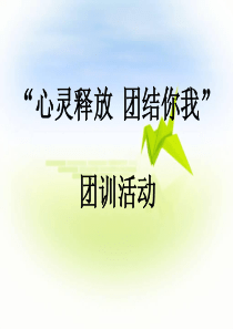 团训活动方案