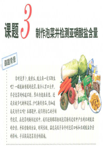 制作泡菜并检测亚硝酸盐含量使用PPT