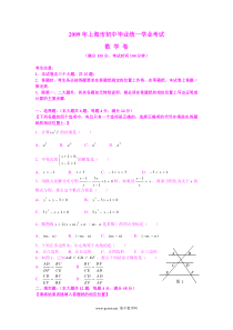 2009年上海市中考数学试题及答案