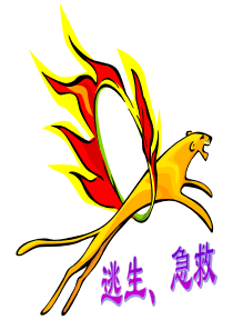 55急救