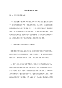 旅游市场营销方案