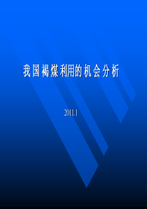 02 海南褐煤 白颐