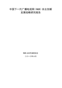 中国下一代广播电视网(NGB)自主创新发展战略研究报告
