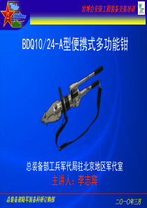 11-BDQ-A型便携式多功能钳