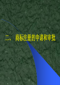 第五章商标法2