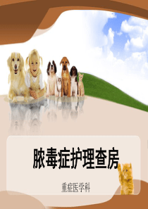 72脓毒症护理查房
