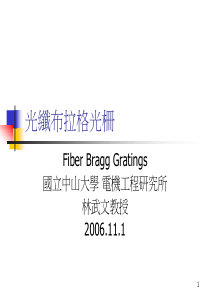 光纤布拉格光栅