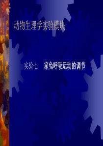 实验七        家兔呼吸运动的调节