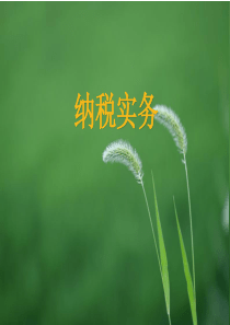 纳税实务