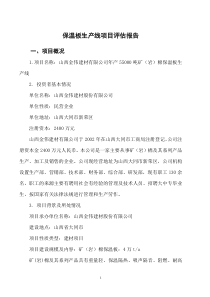 1投资项目评估报告