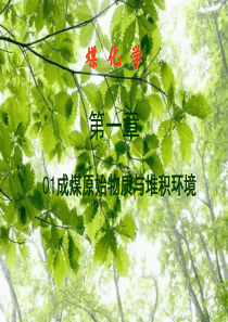 01第一章成煤原始物质与堆积