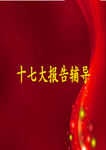 十七大辅导报告