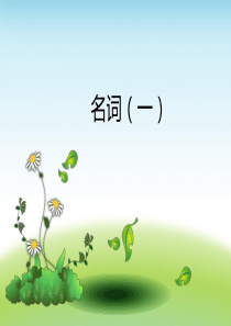 初一专题训练名词
